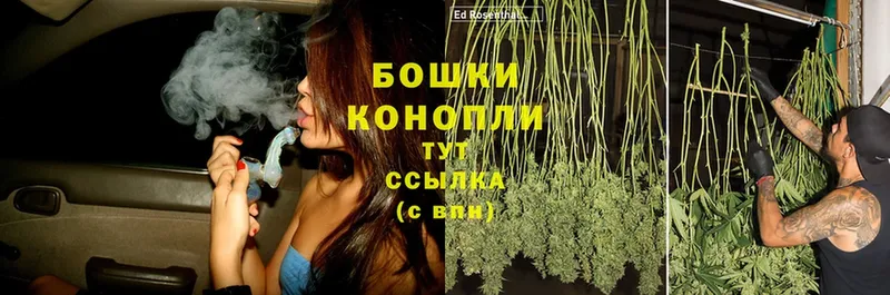 Бошки Шишки SATIVA & INDICA  маркетплейс официальный сайт  Бокситогорск 